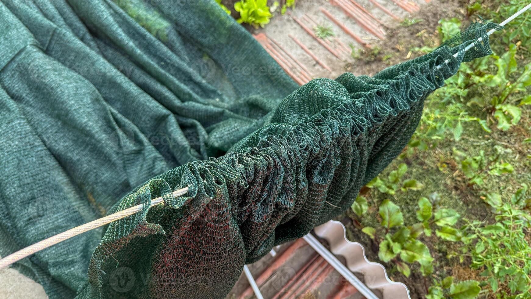 Sun dappled garden netting flutters like a verdant cocoon, whispering secrets of harvest moon rituals and Wiccan sabbats photo