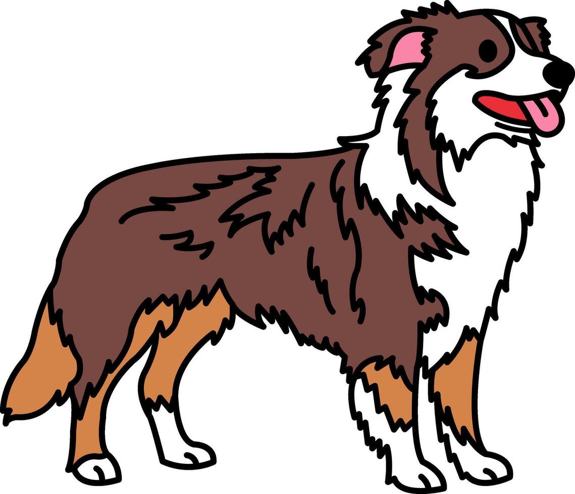 illustration of a Border Collie vector