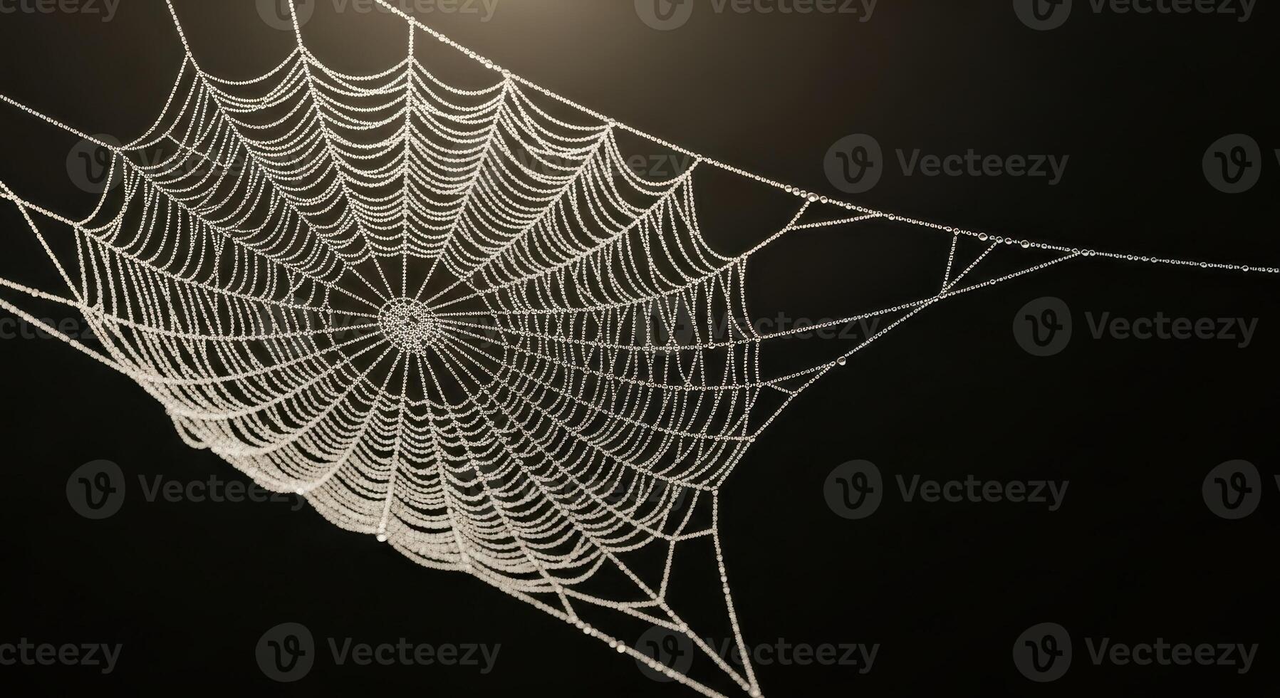 A spiderweb is covered in dew drops on a dark background photo