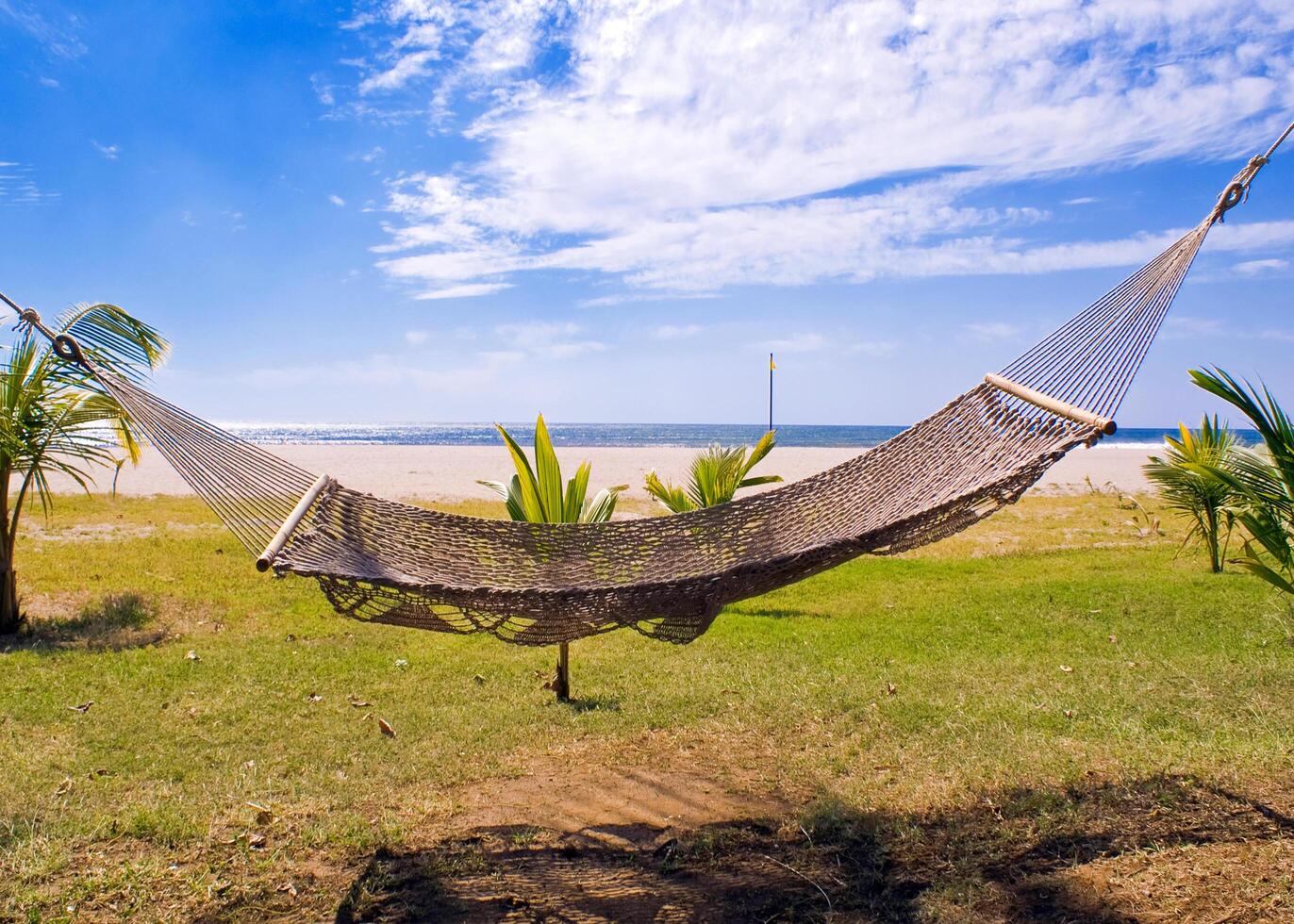 Hammock between palm trees, on a relaxing day on the beache photo