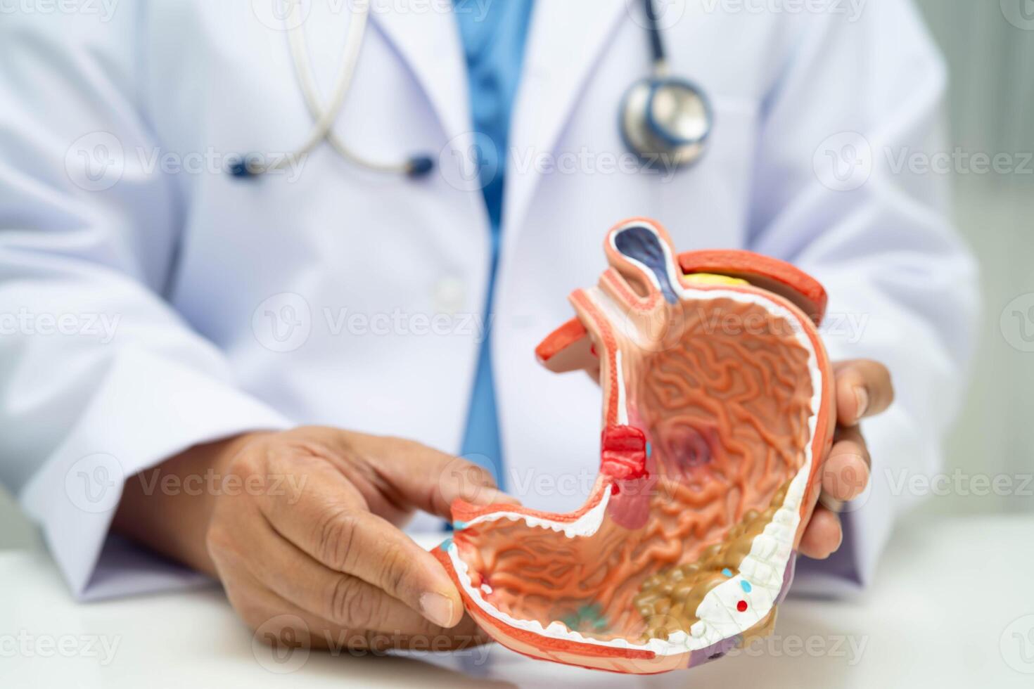 Stomach disease human model photo