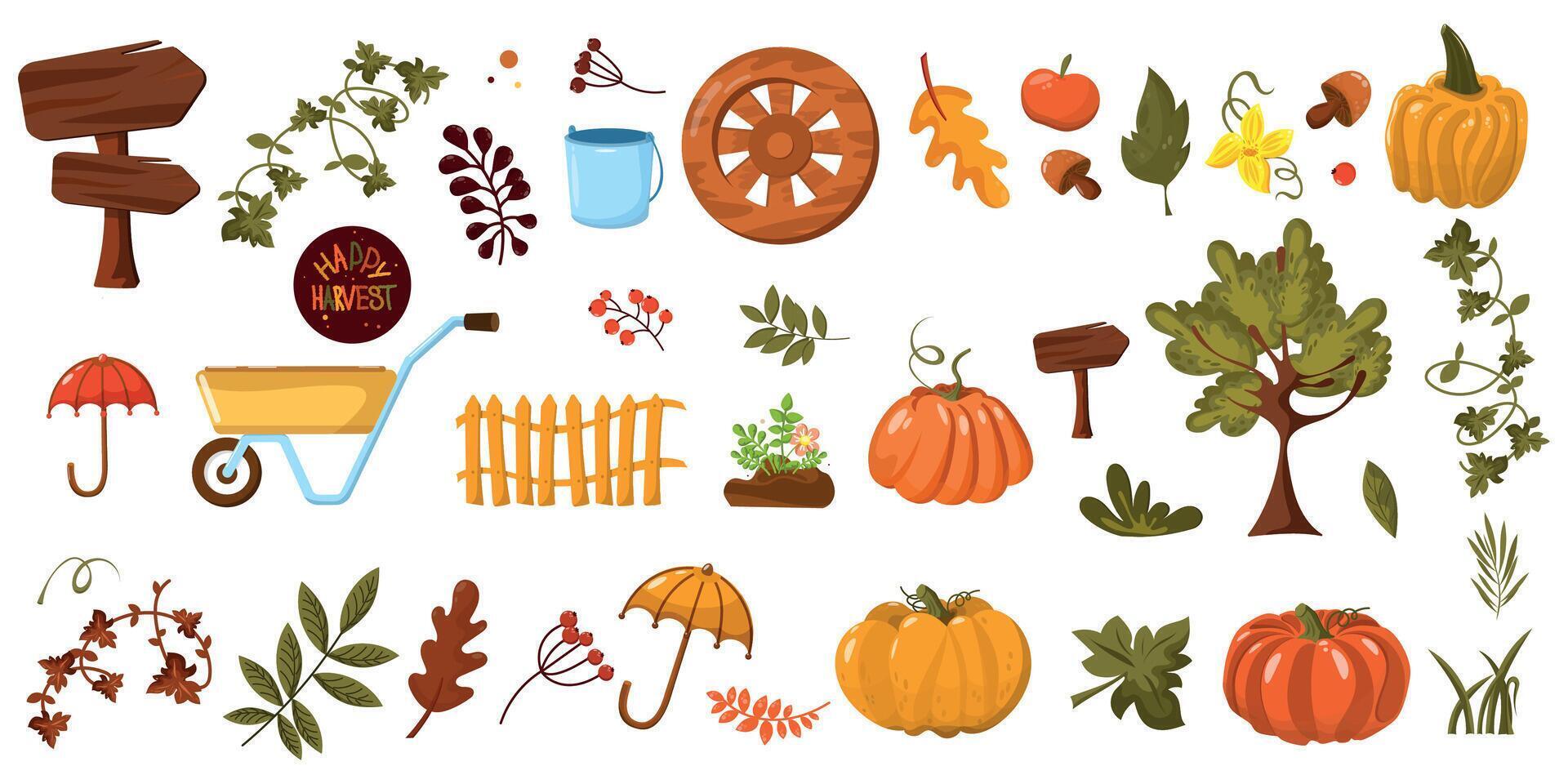 autumn harvest illustrations with pumpkins and leaves vector