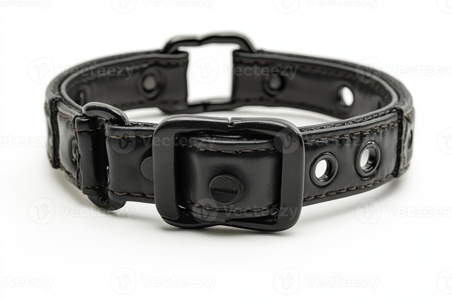 A black leather dog collar with a buckle. photo