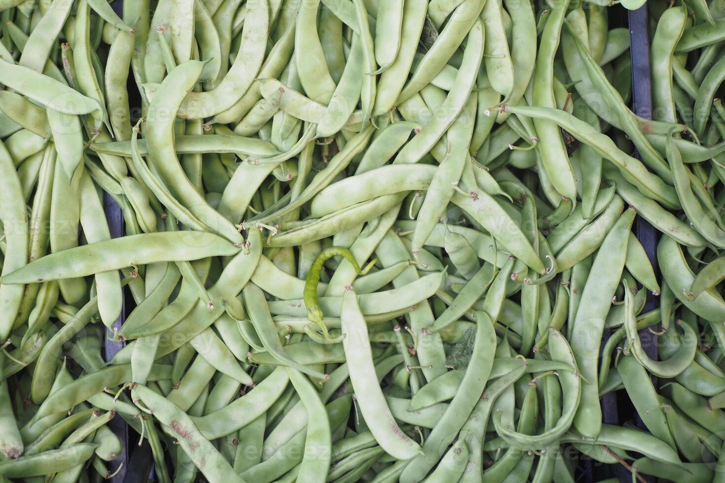 Fresh green beans displayed at a local market in summer photo