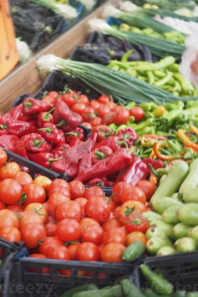 Colorful display of fresh vegetables at a local market photo