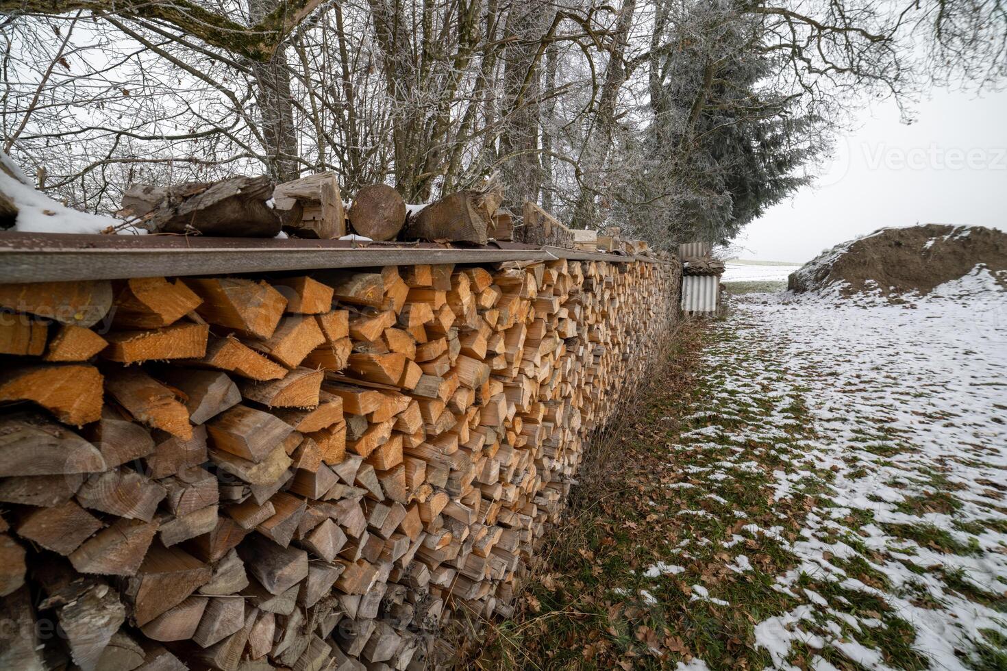 Lots of logs in the winter forestWinter forest filled with many logs photo
