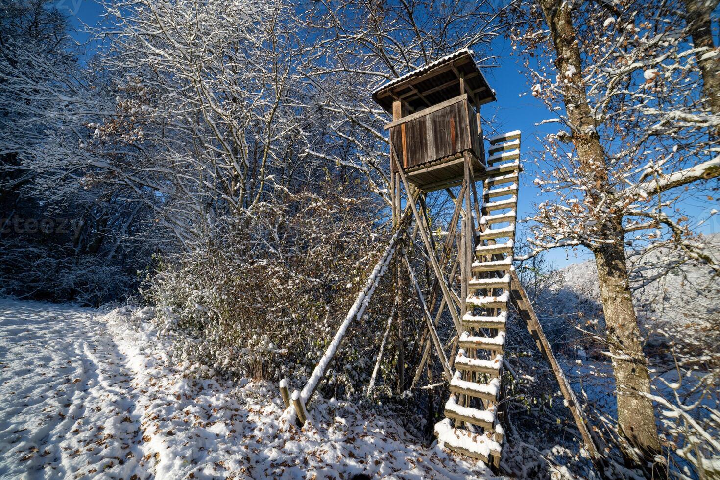 Hunting tower at the edge of the winter forestTower hunting Winter Forests Edge photo