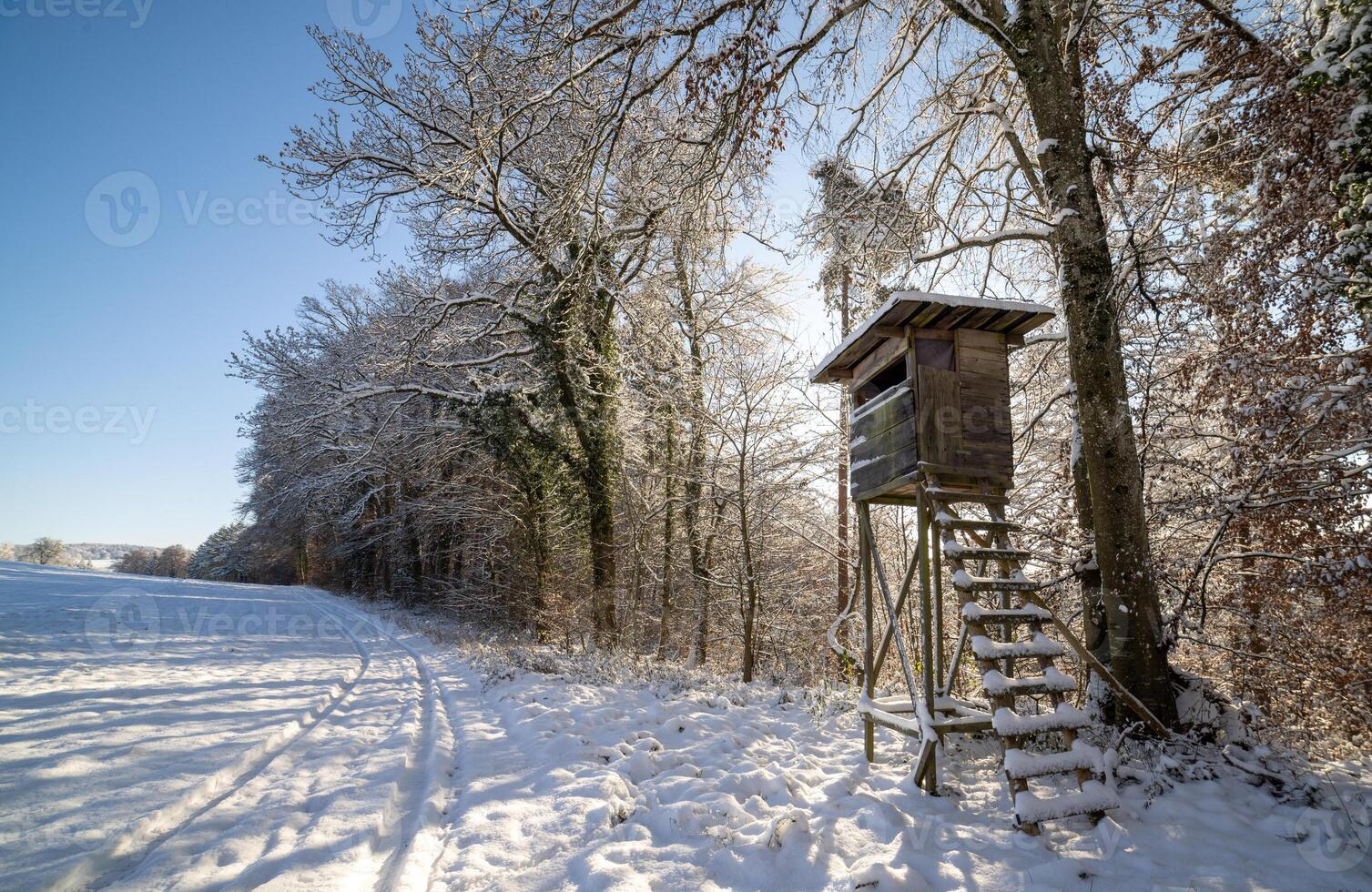 Hunting tower at the edge of the winter forestHunting tower edge winter forest photo