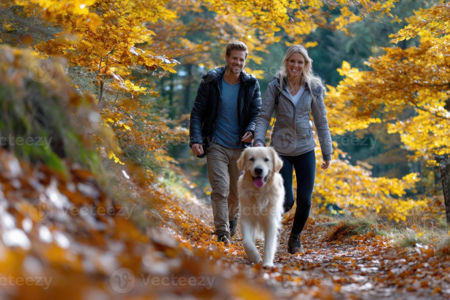 Couples enjoying a walk with a golden retriever in colorful autu photo