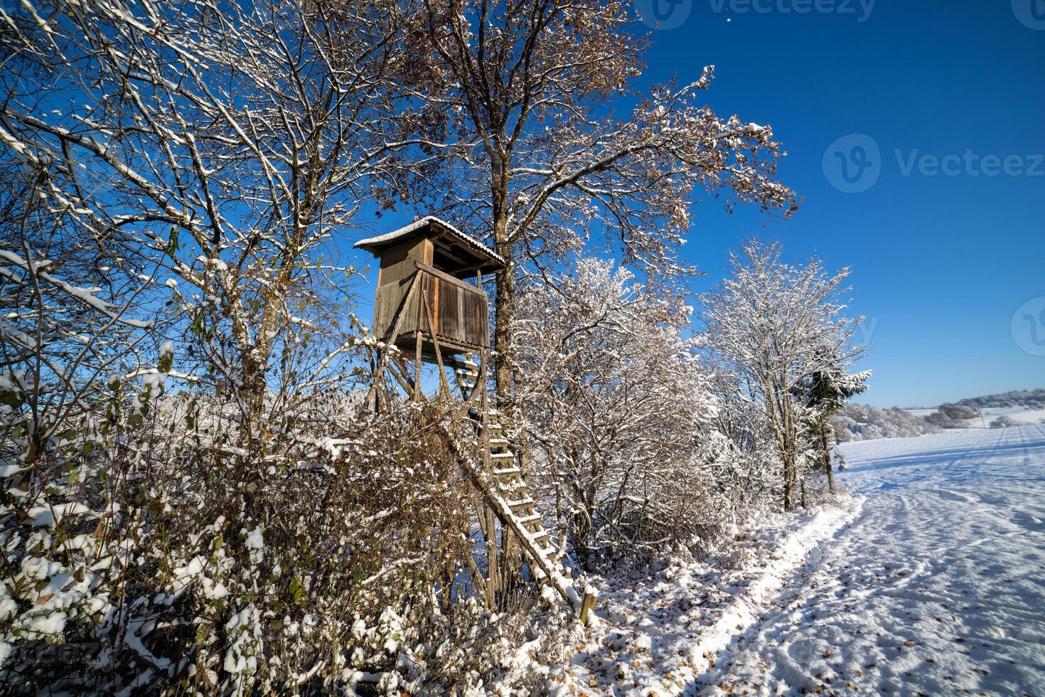 Hunting tower at edge of the winter forestHunting Tower Edge Winter Forest photo