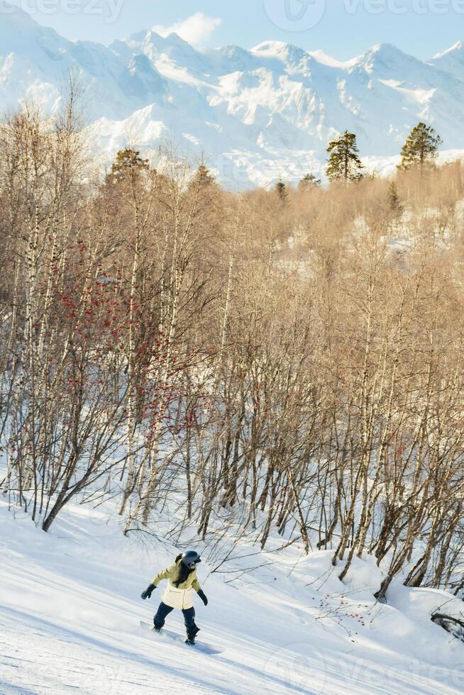 Female snowboarder ski on white slope with white mountains background and fir forest view photo
