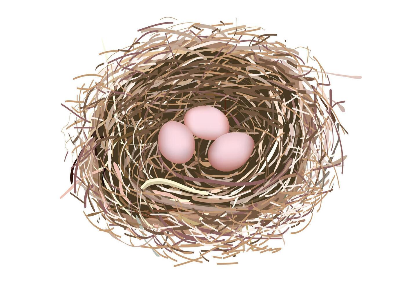 Nest with three pink eggs vector