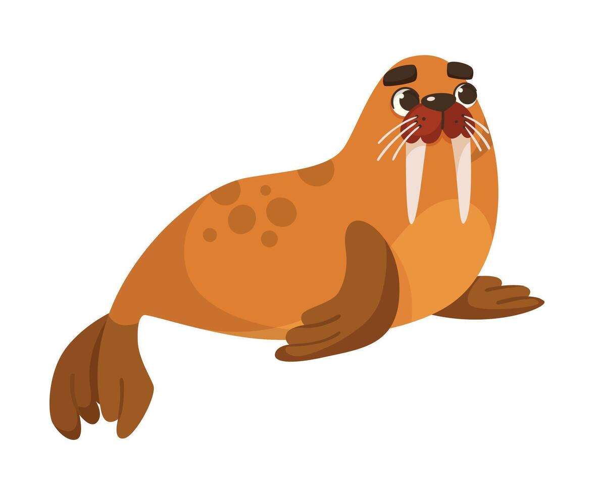Morse Polar Animal and Cold Arctic Fauna with Tusk Illustration vector
