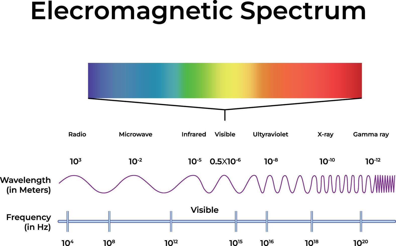 Electromagnetic Spectrum Visualization Illustration vector