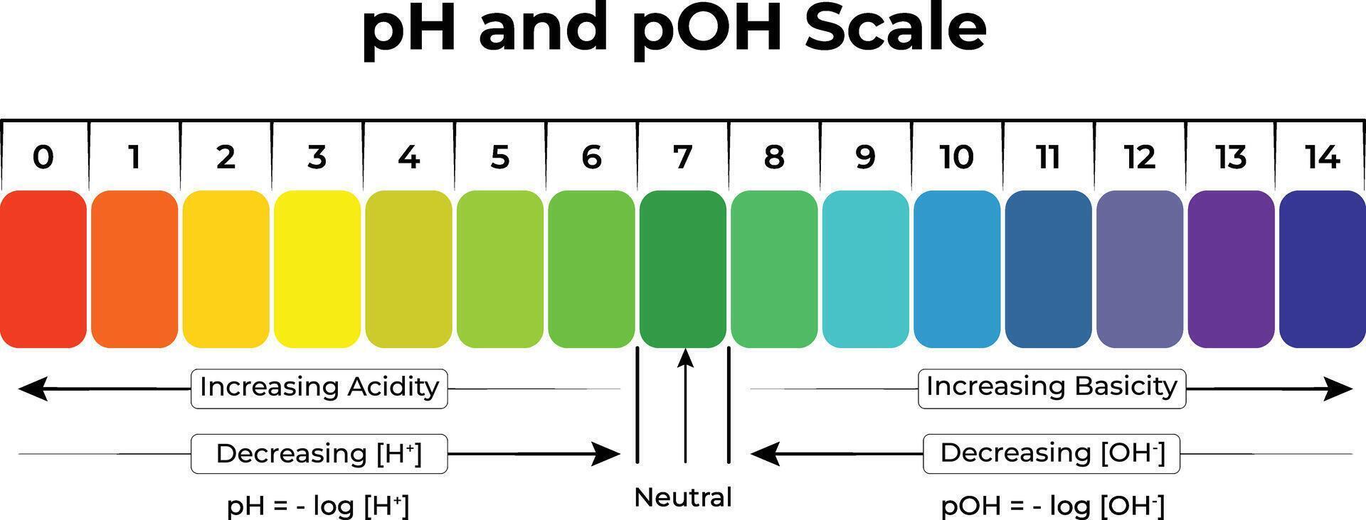 pH and pOH Scale Visual Guide to Acidity and Basicity vector
