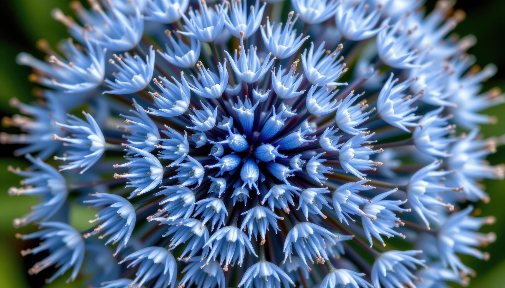close up view of a mistflower blooming with small, fluffy blue tufts forming a hazy texture. photo