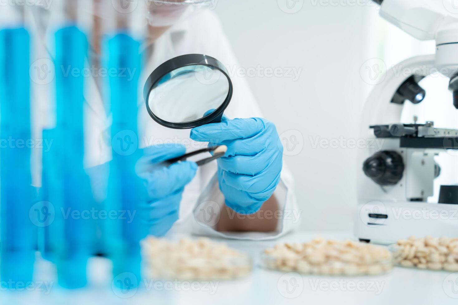 Scientist magnifying glass to check physical occur from chemical on fruit and whole grains residues in laboratory. inspect the concentration of chemical residues, standard, find prohibited photo