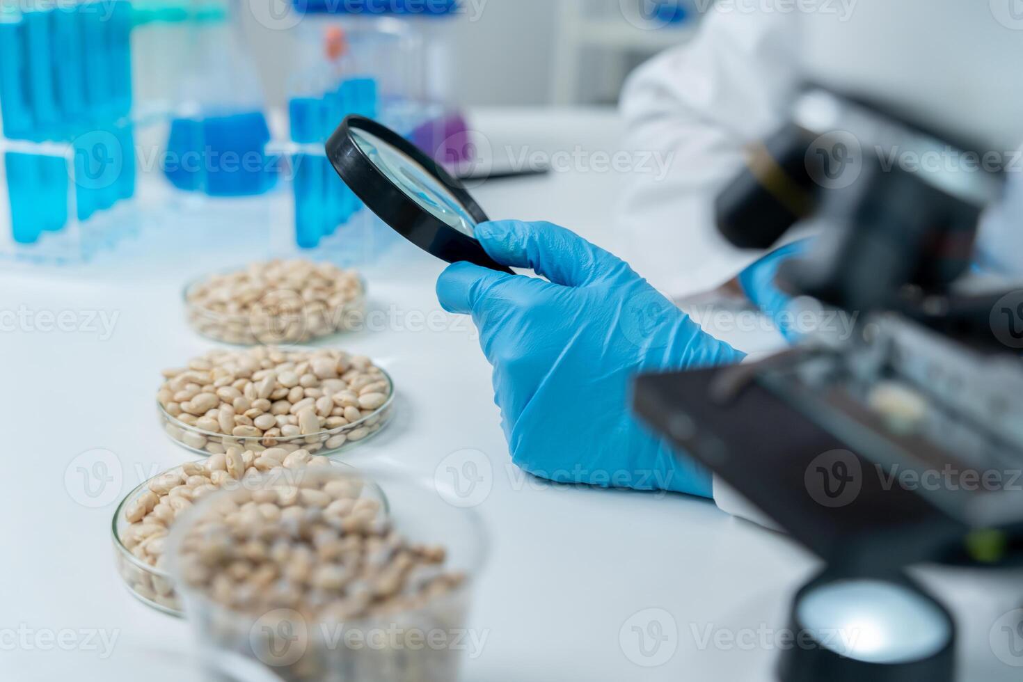 Scientist use magnifying glass to check physical occur from chemical on fruit and whole grains residues in laboratory. inspect the concentration of chemical residues, standard photo