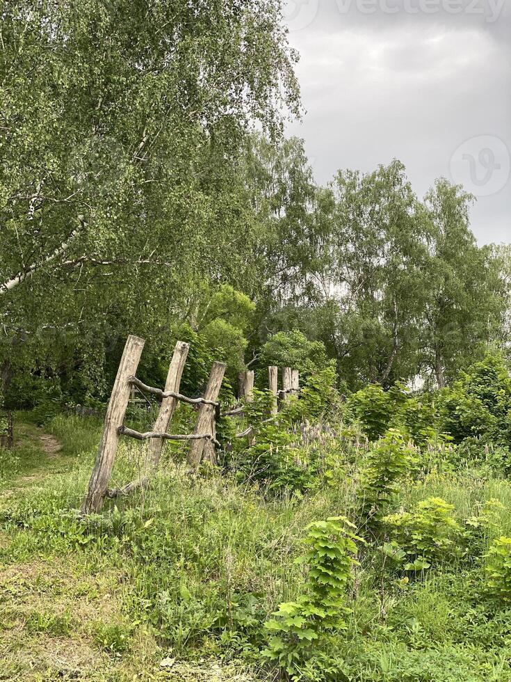 Forest path through lush greenery and wooden fence posts, suitable as a natural background photo