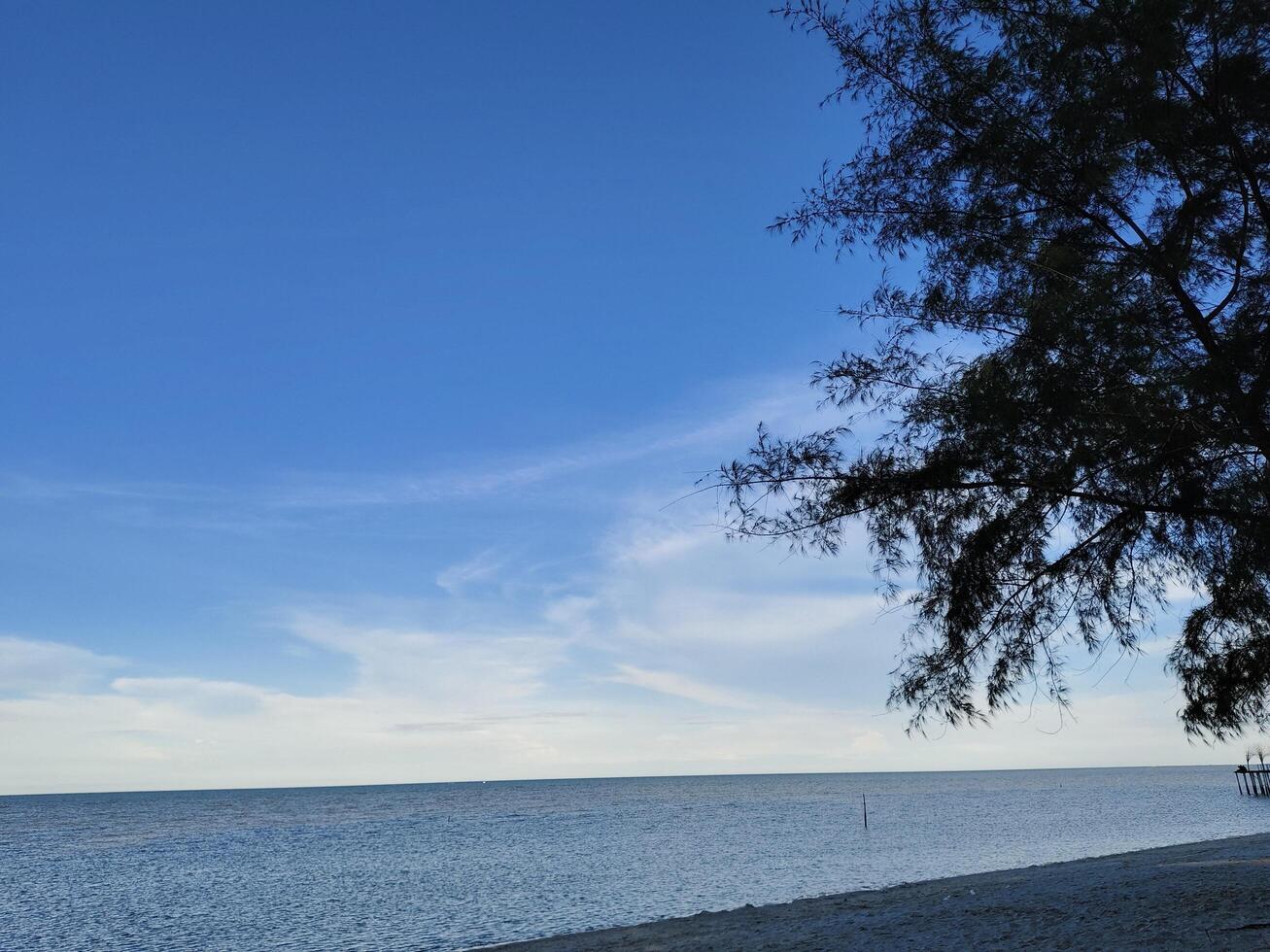 Serene Beach with Tree Silhouette Under a Blue Sky photo
