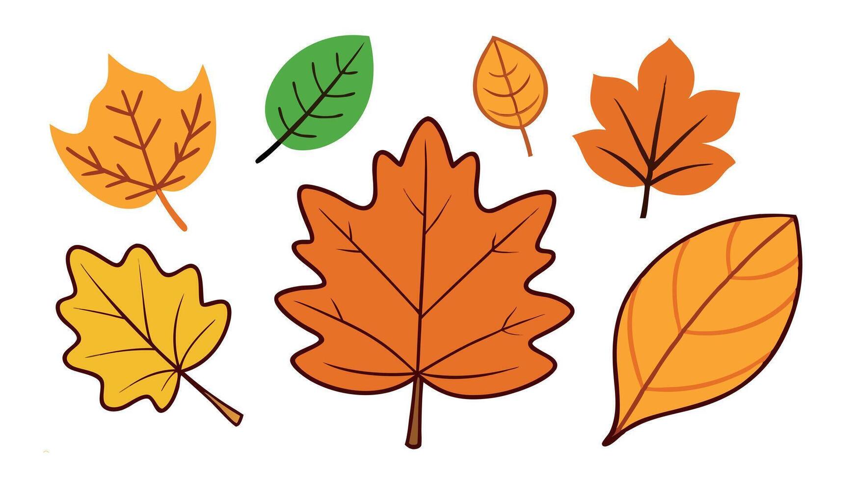 Colorful Autumn Fall Leaves Collection Nature Inspired Seasonal Foliage Graphic Art Elements for Design vector