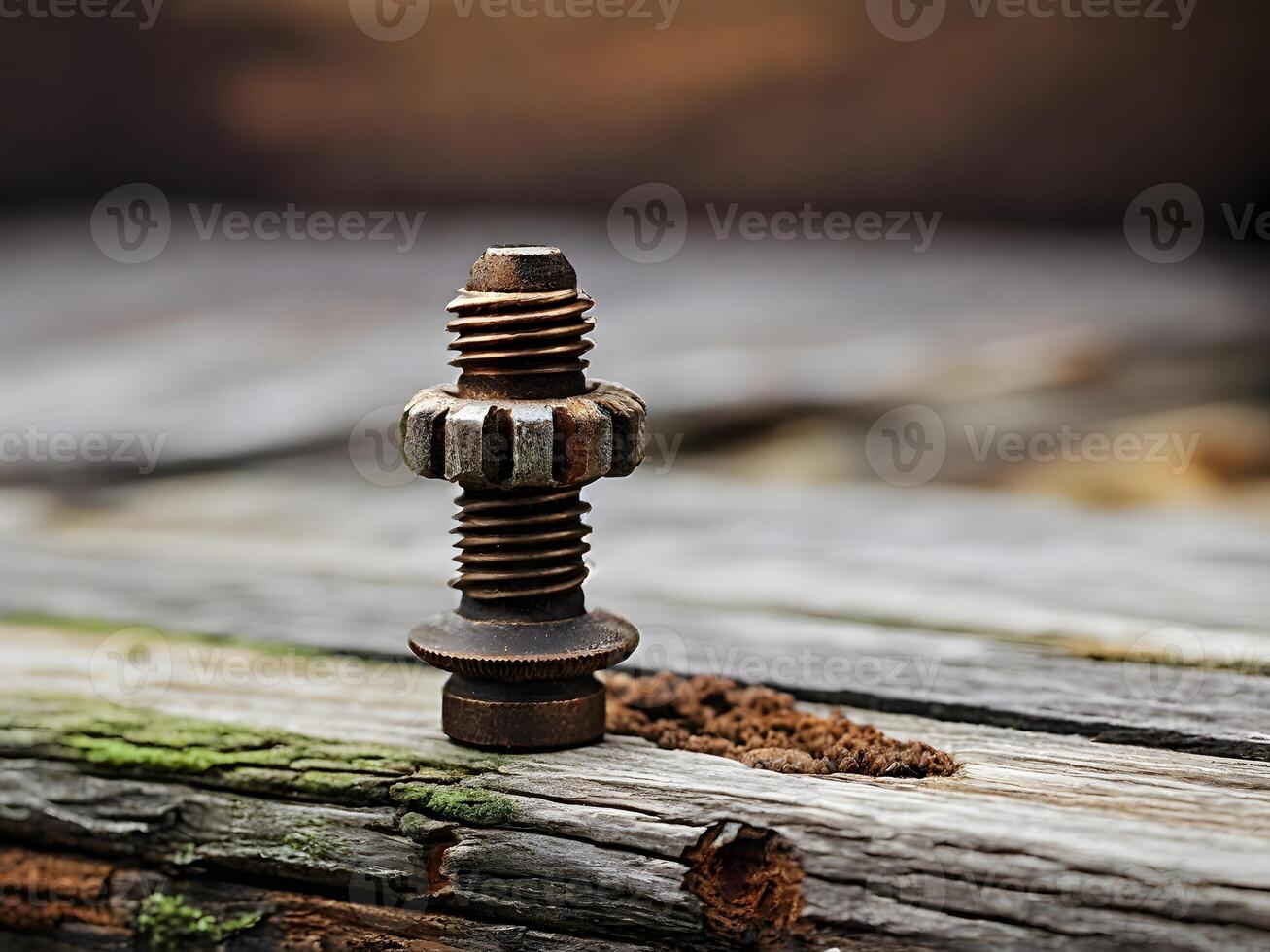 Weathered Brass Bolt on Decaying Wood photo