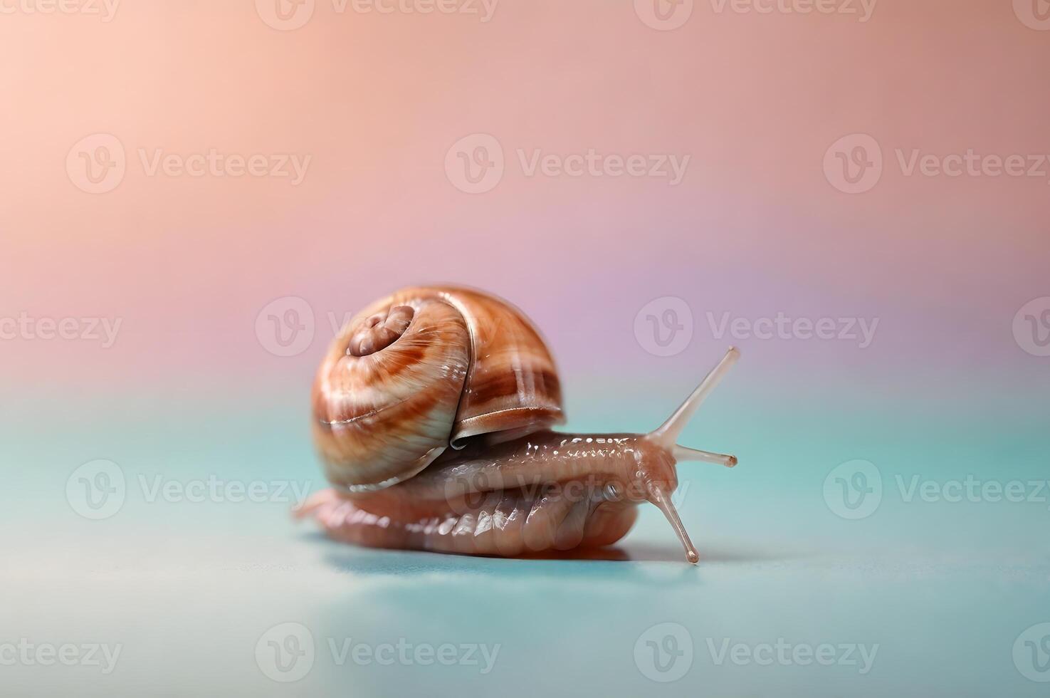 Snail on Pastel Background Slow Motion Macro Shot photo