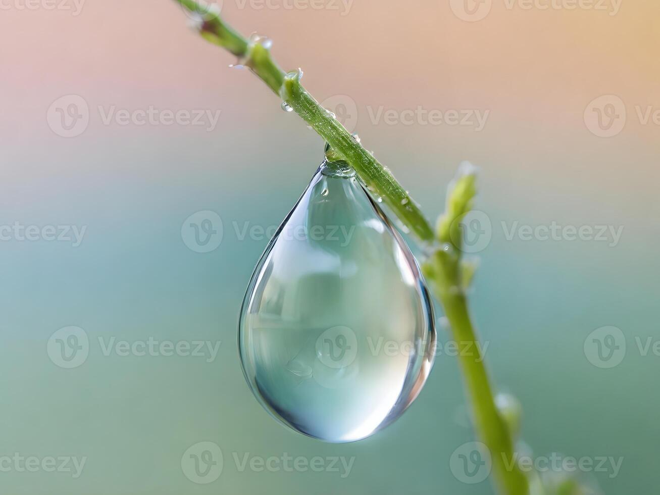 Hanging water droplet on a green stem against a soft pastel background photo