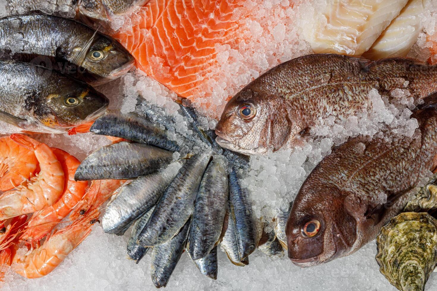 Fresh Seafood Beautifully and Artfully Arranged on Ice for Delightful Culinary Experience photo