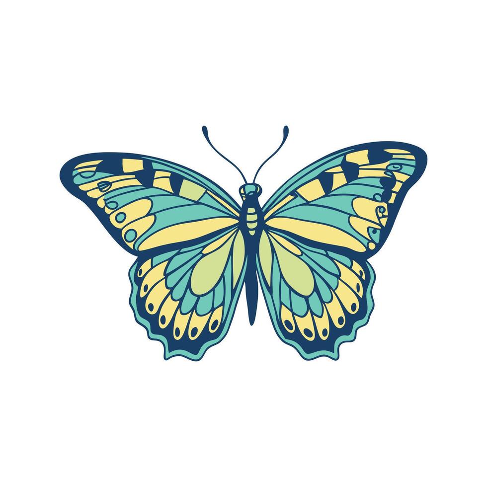 Beautifully illustrated butterfly with teal yellow and blue wing patterns vector