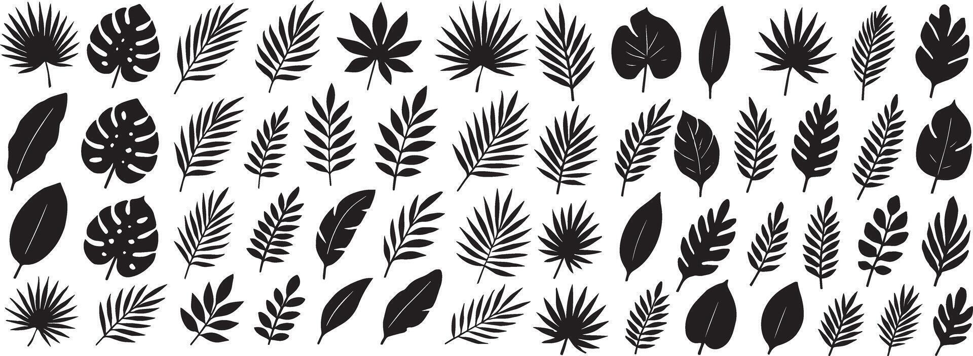 Tropical foliage silhouettes tropical leaves monstera vector