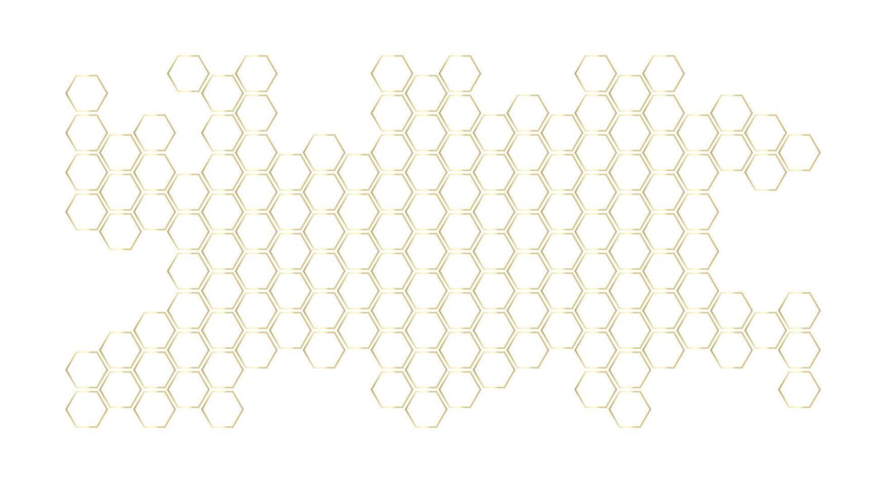 Honeycomb structure. Honey comb. Bee products in sketch style. vector