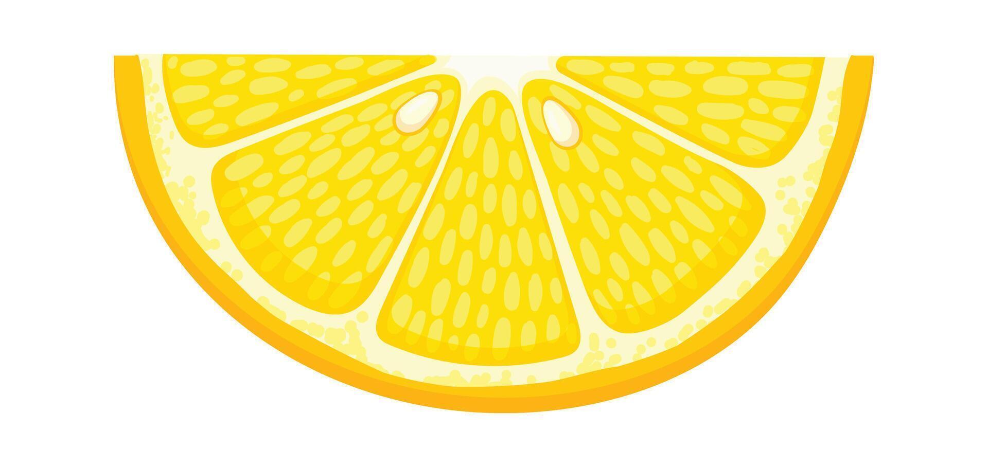 Close up of a lemon slice revealing its vibrant yellow color, textured pulp, and segments, conveying a sense of freshness and citrusy aroma vector