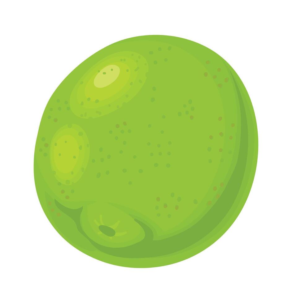 Close up of a whole lime, highlighting its vibrant green color, textured skin, and characteristic dimples, creating a visually appealing representation of this citrus fruit vector