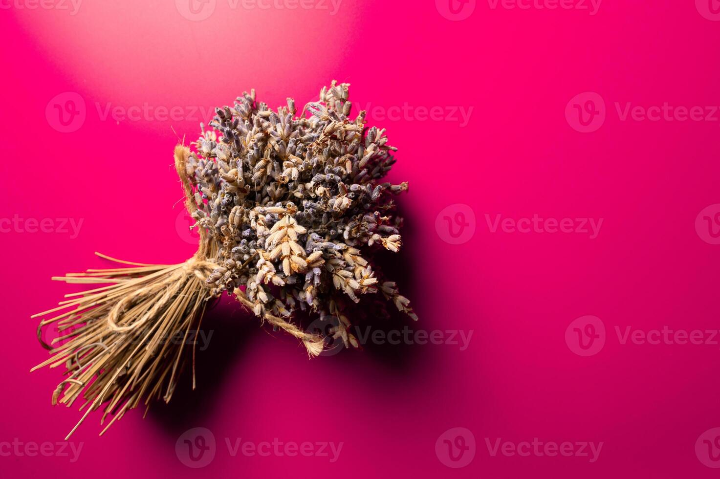 Bouquets of lavender flowers on a pink background. Bouquet of lavender tied with twine top view with space for text. Banner concept for advertising photo