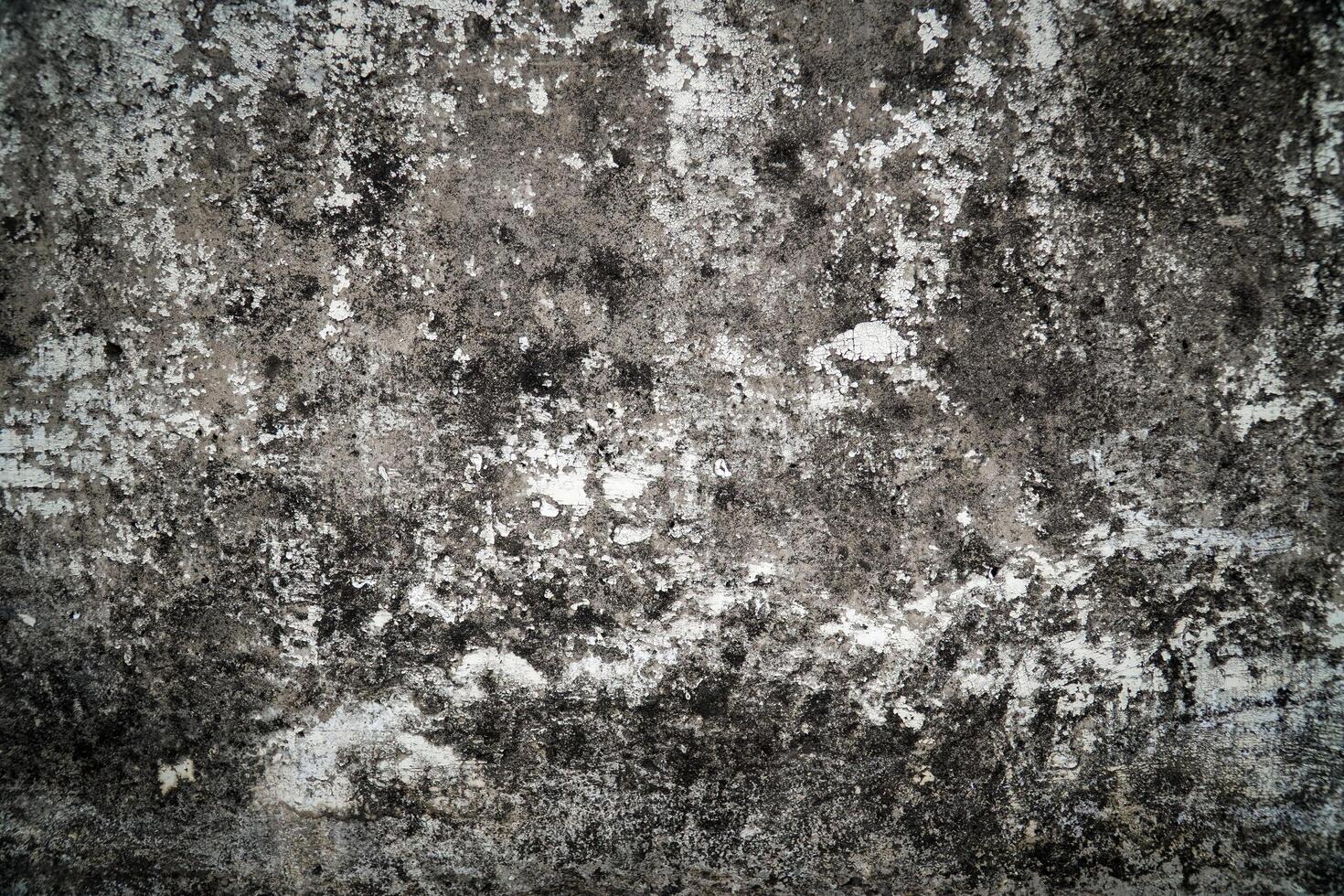 Abstract background, White that is peeling and fungi on concrete wall. photo