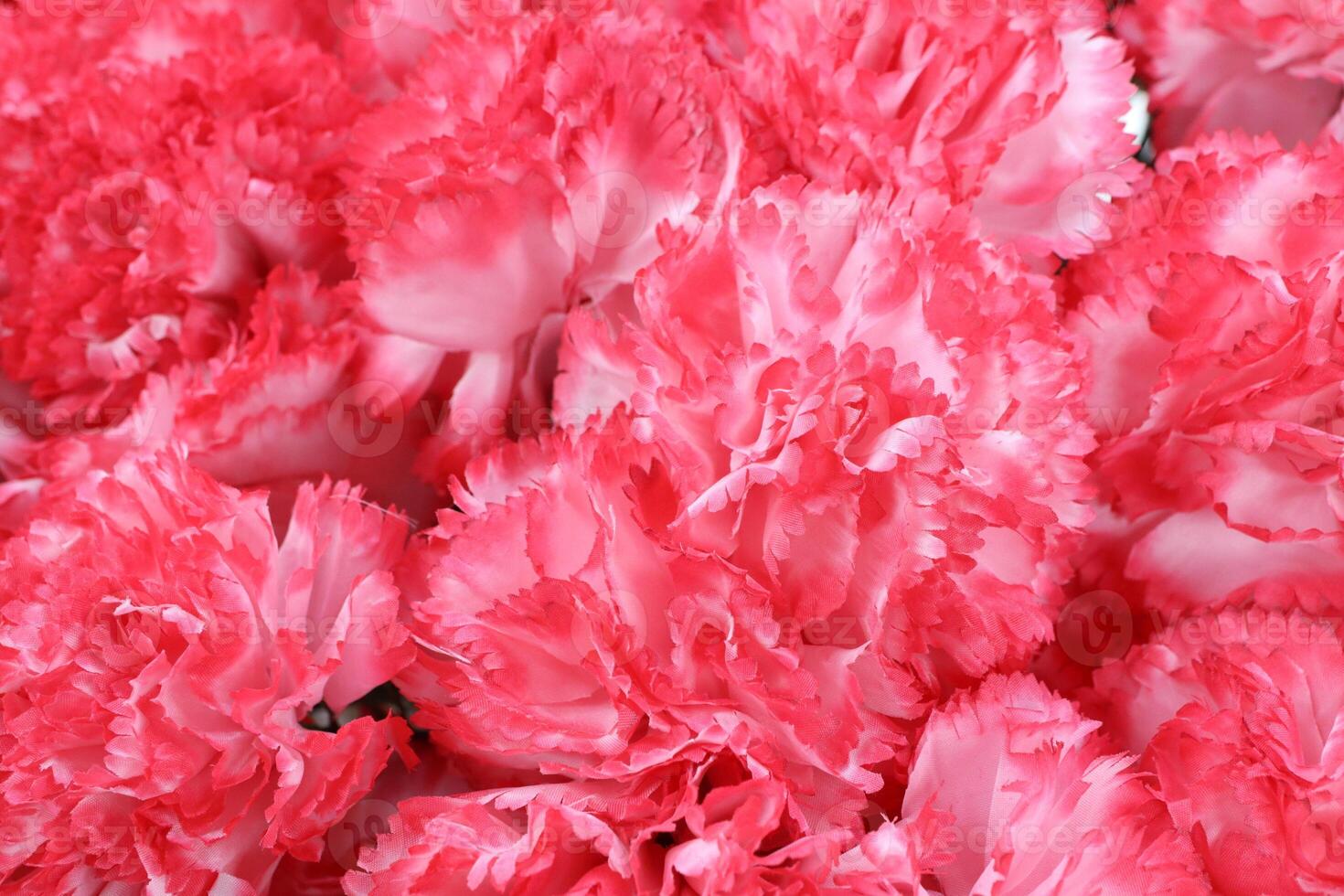 Beautiful and Vibrant Pink Carnations Bouquet Perfect for All Your Creative Projects photo