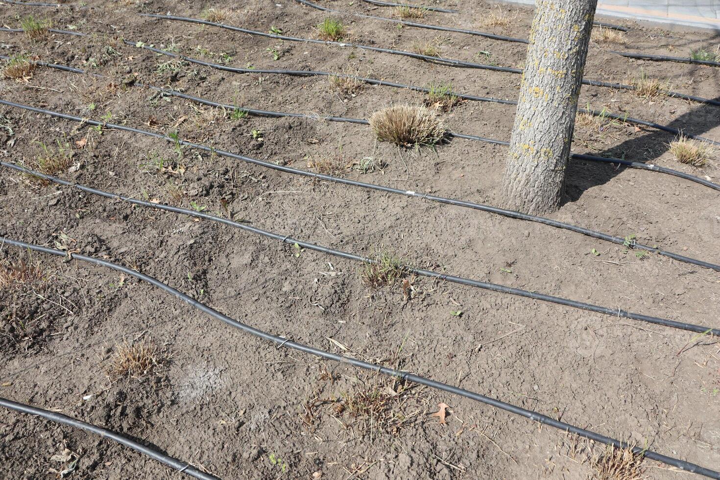 Effective Irrigation Systems Designed for Use in Arid and Dry Landscapes and Regions photo