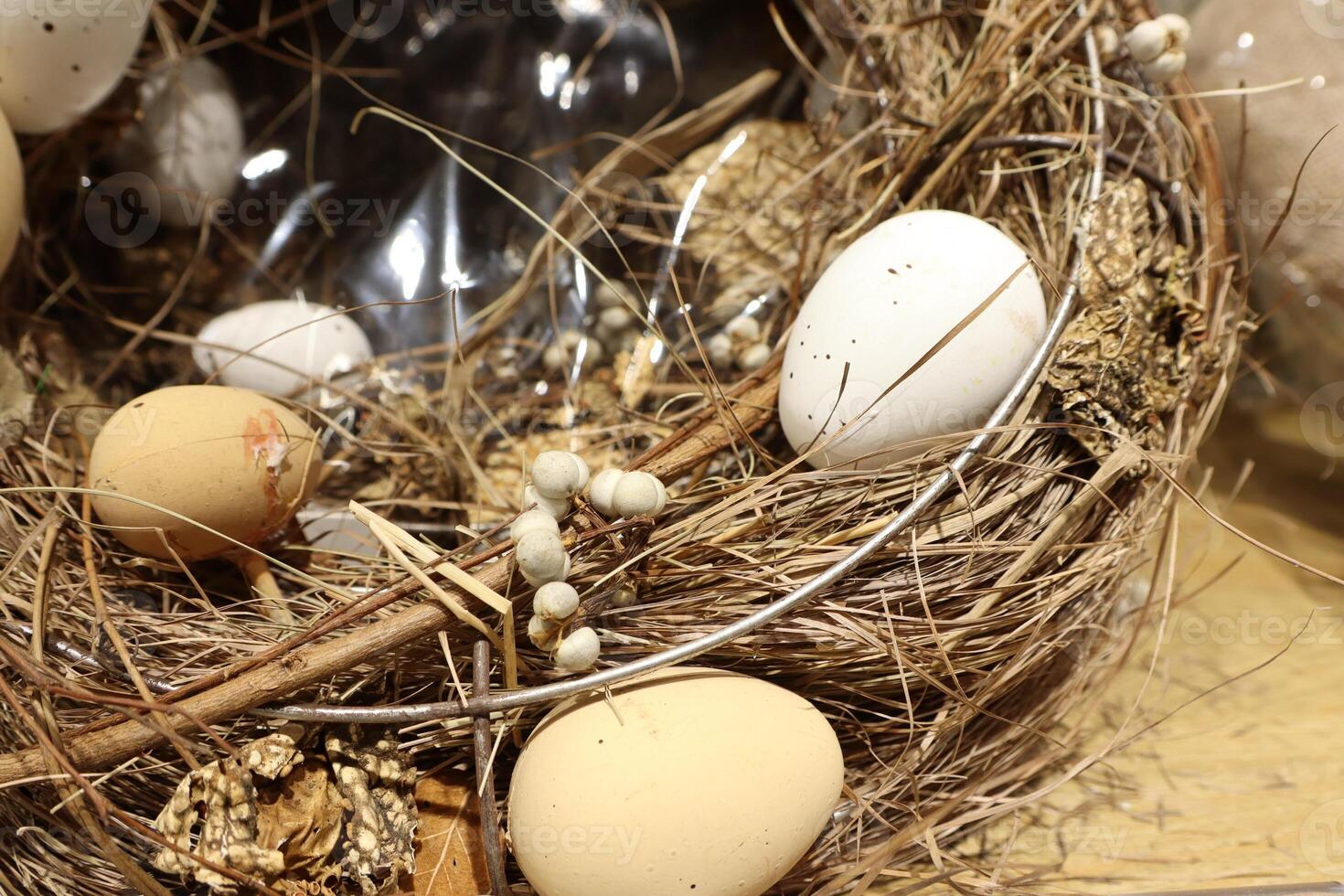 A Beautiful Nest with a Varied Collection of Colorful Eggs and Natural Decorative Elements photo