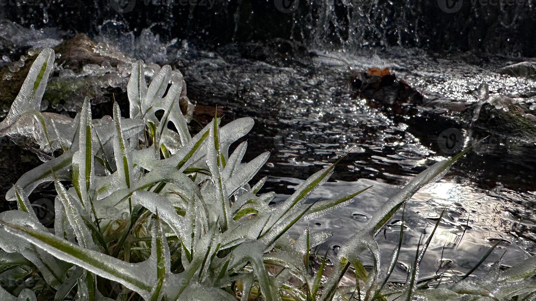 Grass covered with ice growing the shore of the reservoir on a cloudy autumn day. photo