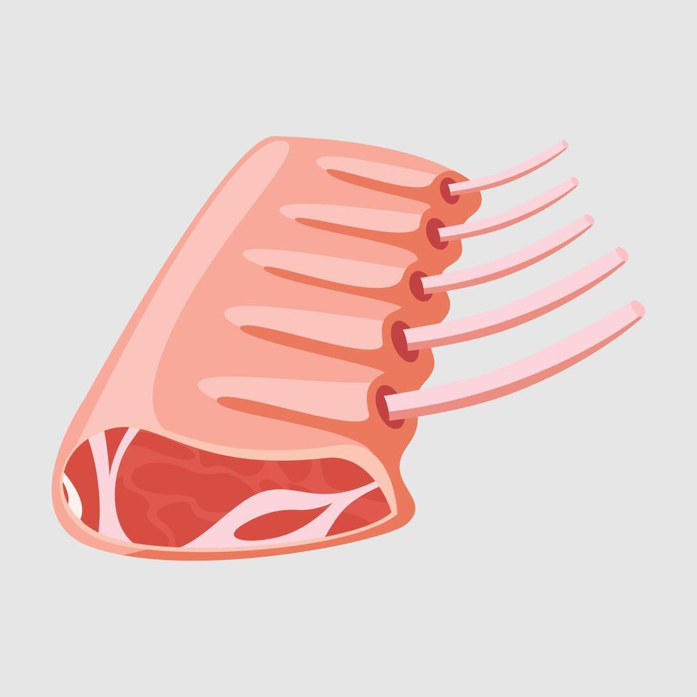 Fresh rack of lamb illustration, a succulent cut of meat ready for cooking, showcasing its natural texture. vector