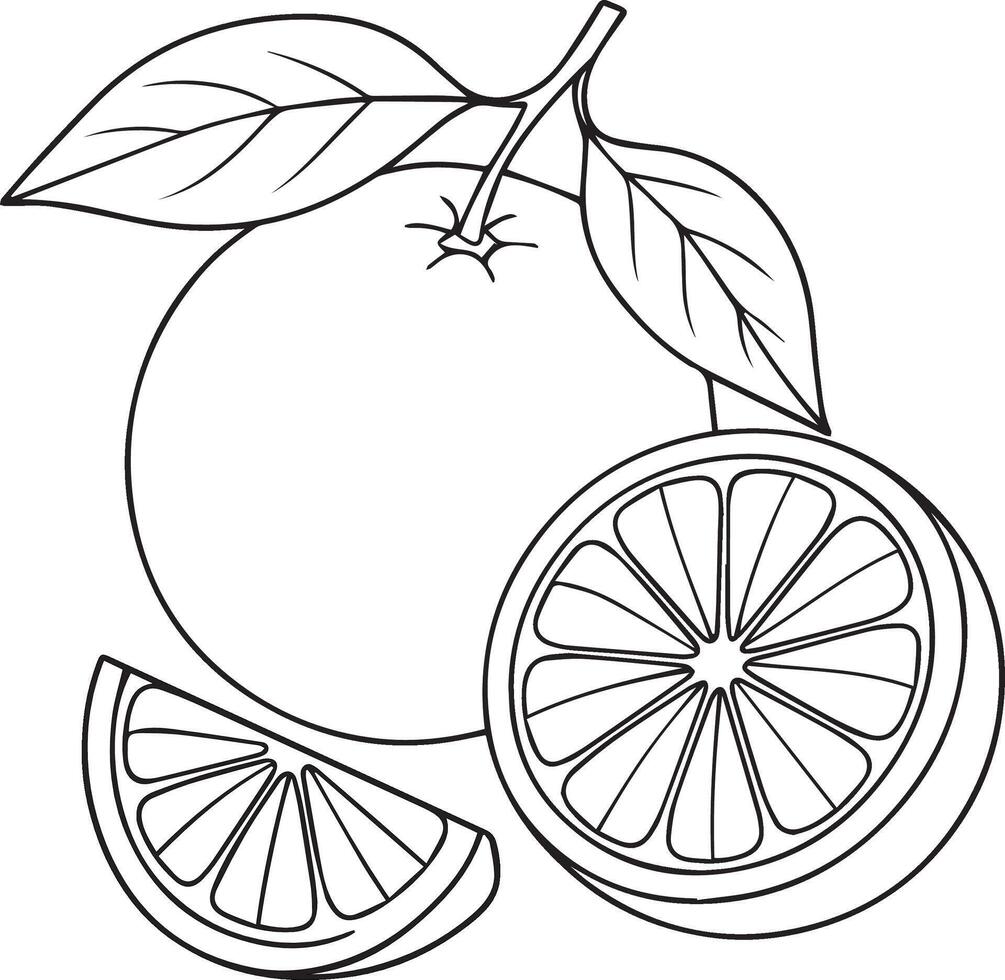 Orange fruit with leaves and slices citrus leaf vector