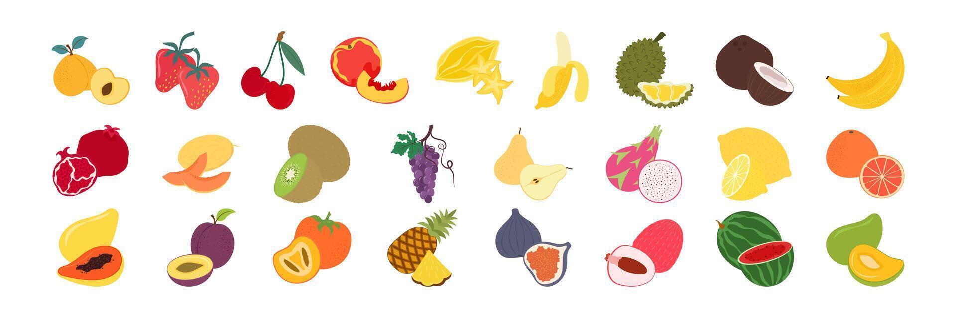 Various colorful fruits and vegetables illustration vector