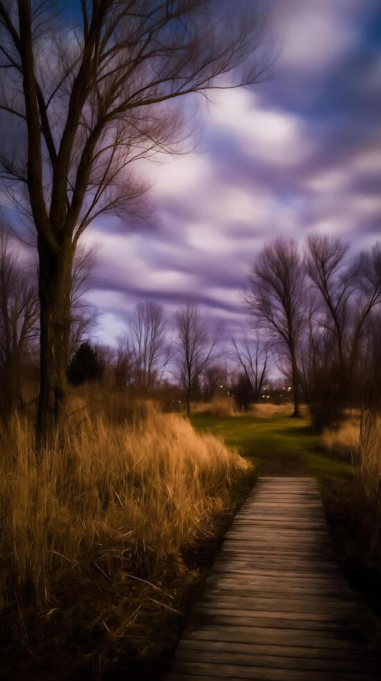 Serene Evening Stroll A Wooden Path Through a Winter Landscape. photo