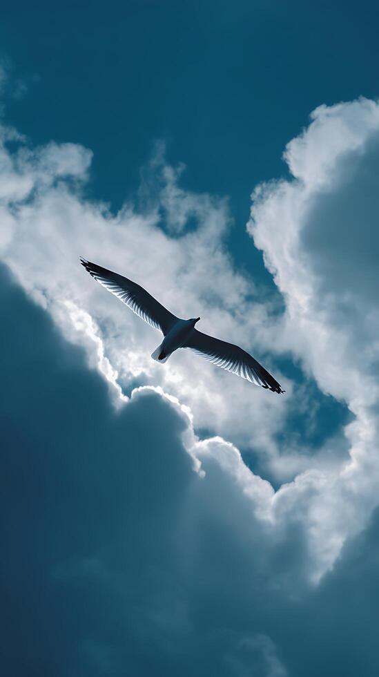 A Seagull in Flight Against a Dramatic Cloudy Sky. photo