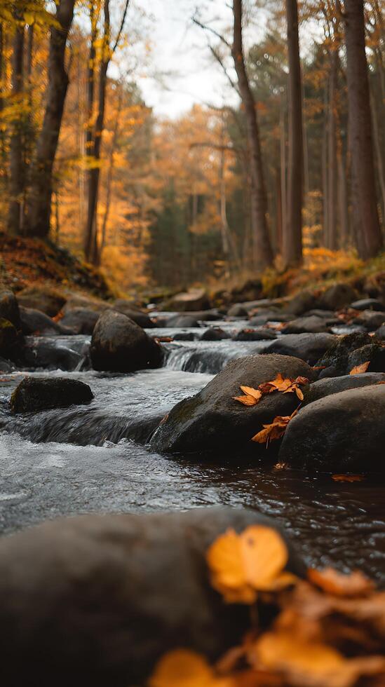 Serene Autumn Stream Flowing Through Forest Rocks. Fallen leaves rest on the smooth stones. photo