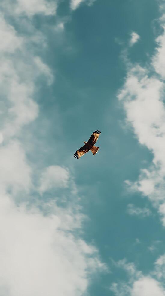 Majestic Eagle Soaring Through a Cloudy Sky. A breathtaking image of a bird of prey in flight. photo