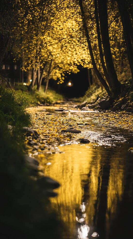 Illuminated Autumn Creek at Night Golden Leaves and Reflections. photo