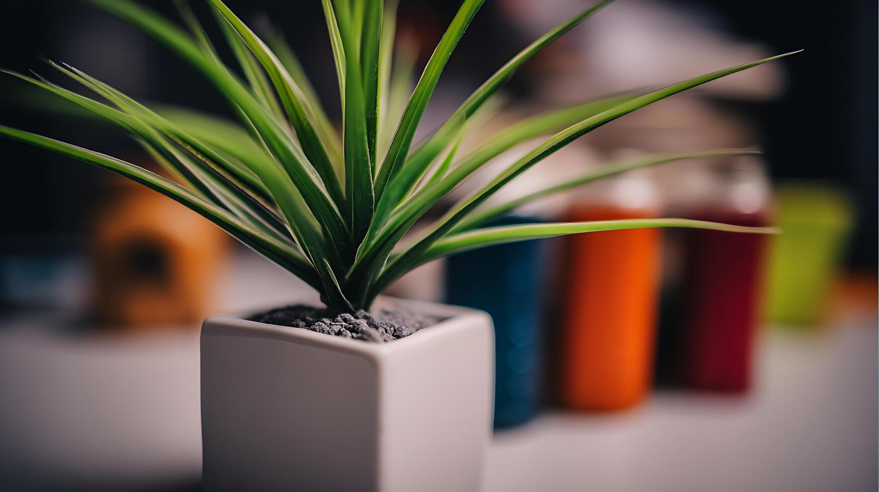 Close Up of a Green Plant in a White Pot with Blurred Background. photo
