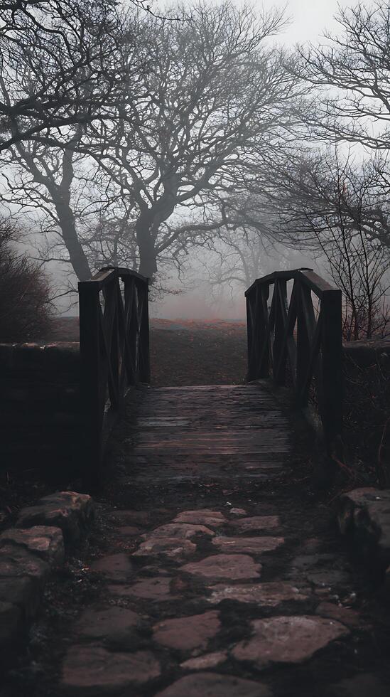 Mystical Fog Envelops a Wooden Footbridge in a Winter Woodland. photo